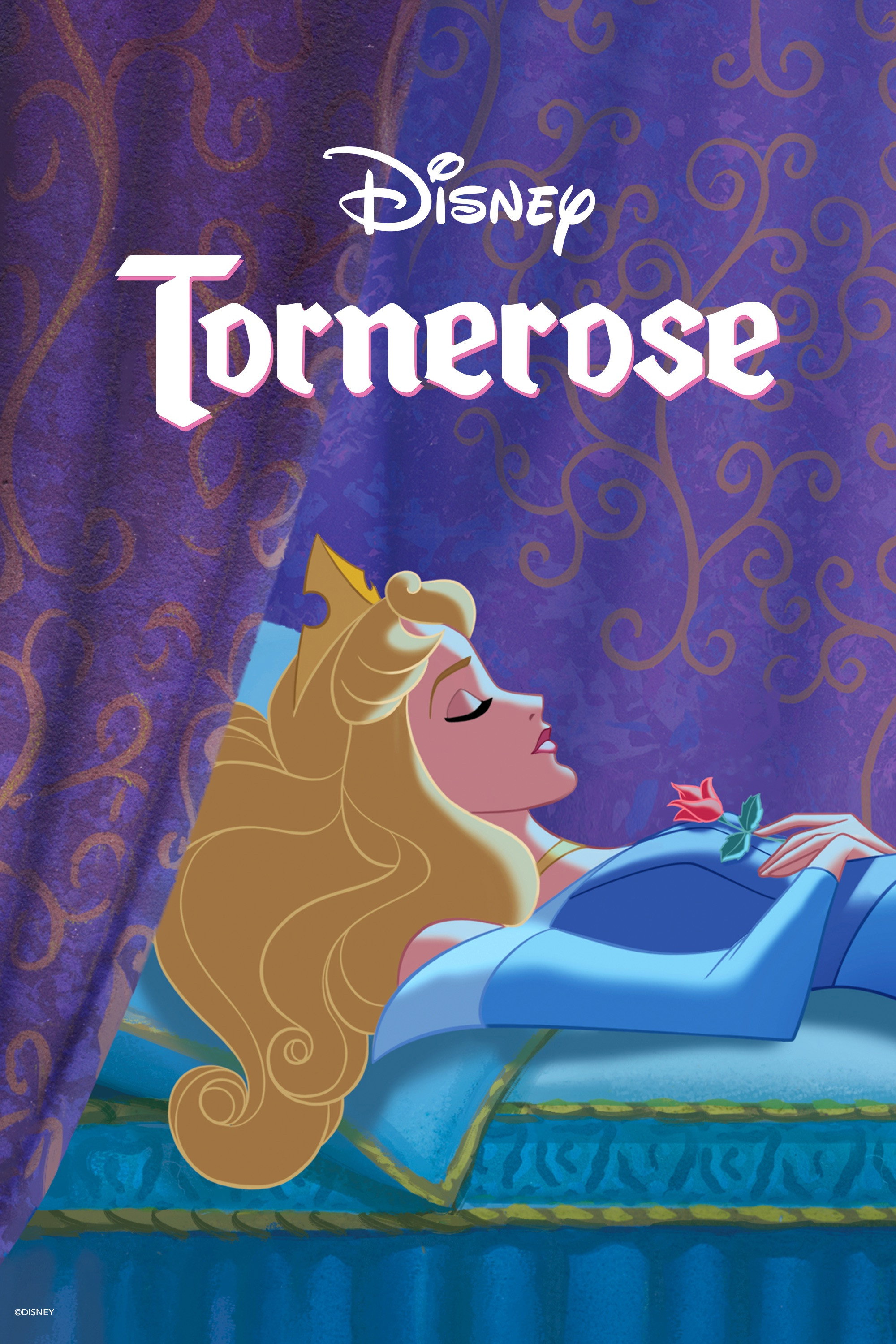 잠자는 숲의 공주 포스터